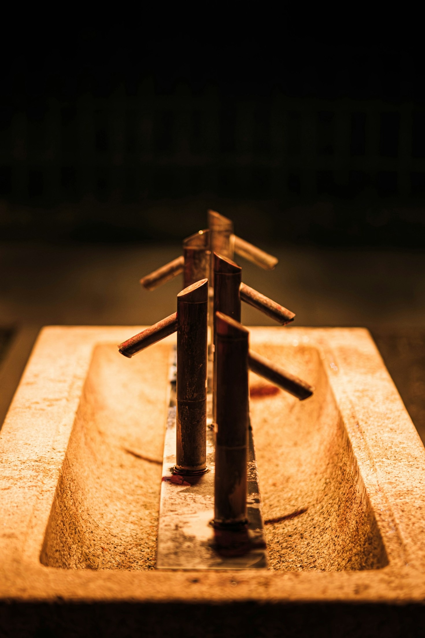 Why Bamboo is the Ultimate Sustainable Material