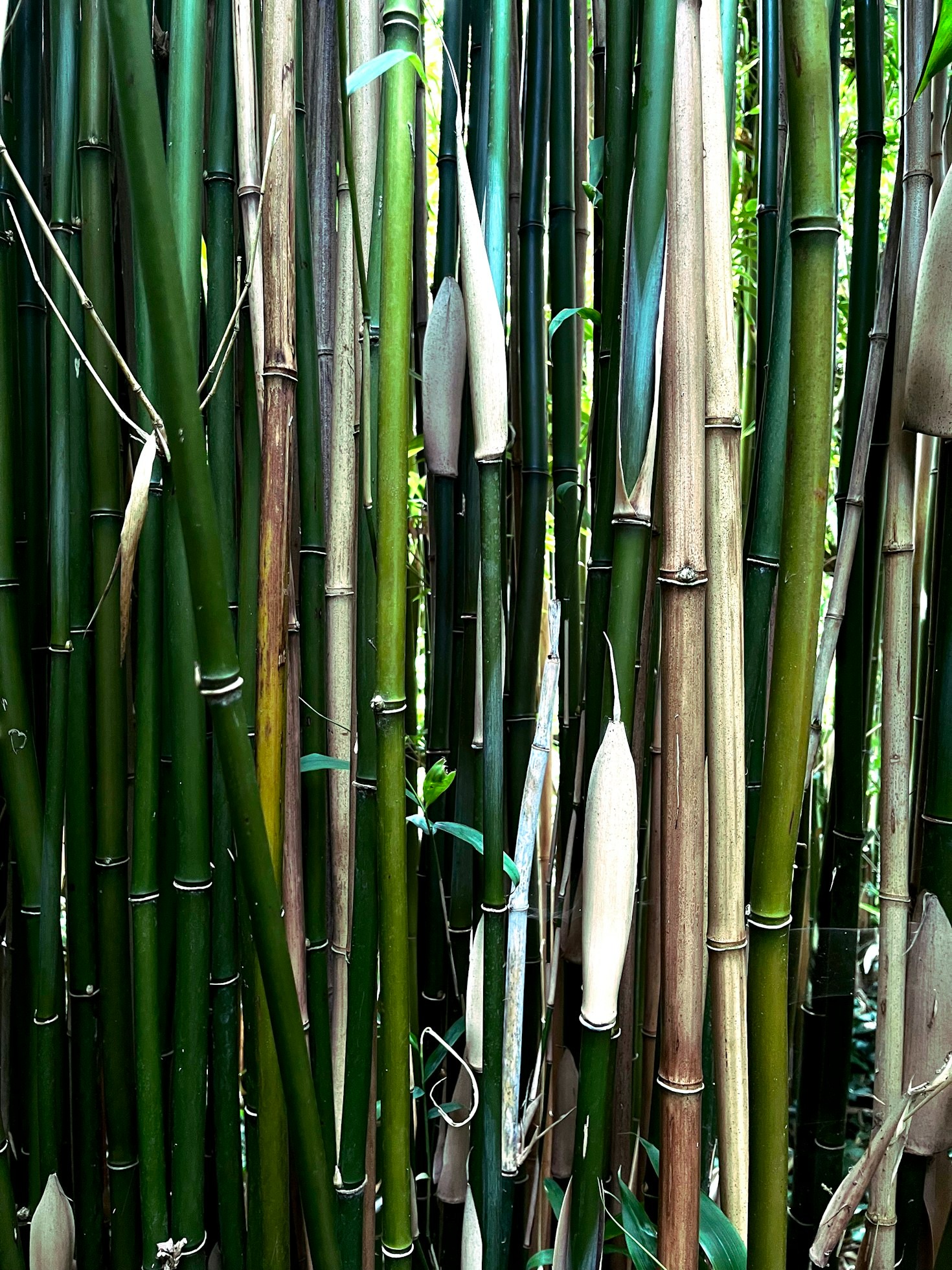 The Art of Crafting Customized Bamboo Solutions
